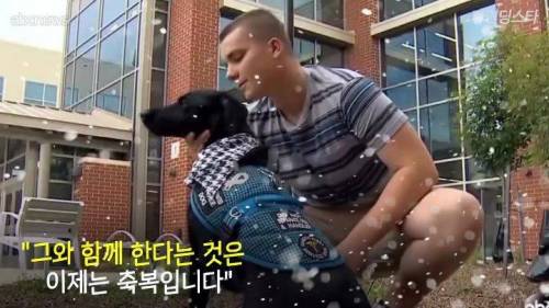 미국 한 고등학교 졸업앨범에 실린 댕댕이