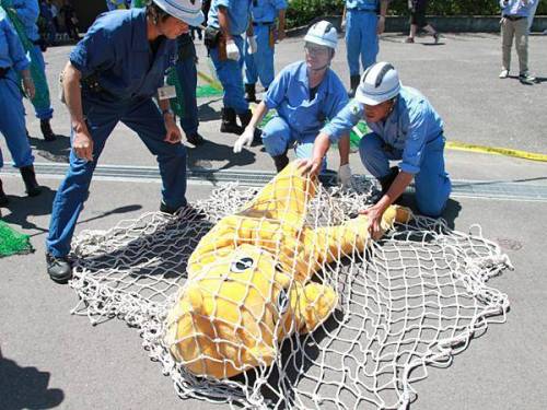 일본 동물원의 탈출 맹수 제압 훈련 모습