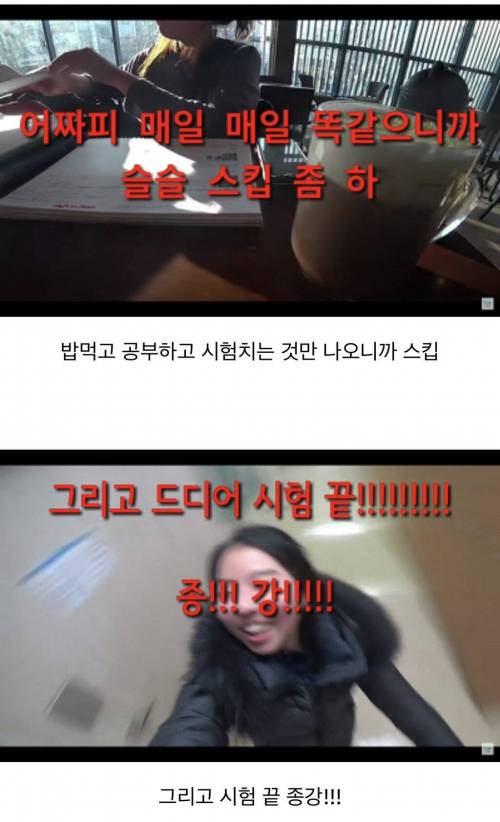 개빡센 시험기간 의대생 브이로그 공부량 수준