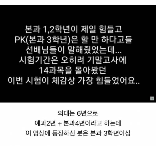 개빡센 시험기간 의대생 브이로그 공부량 수준