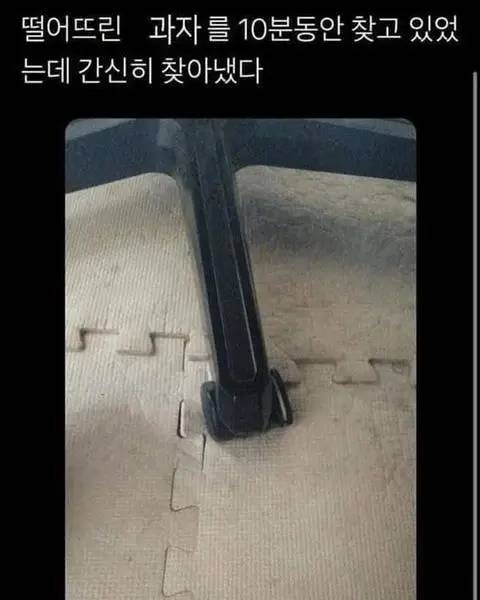 떨어뜨린 과자 간신히 찾아낸사람