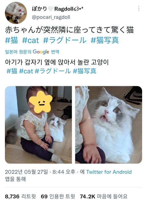 				아기가 갑자기 옆에 앉아서 당황한 고양이