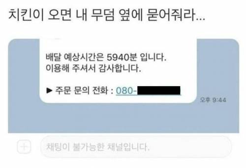 치킨이 오면 내 무덤 옆에 묻어줘라