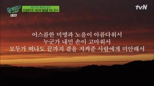 자살시도 하다가 법원 오게된 2030 청년들에게 판사가 쓴 판결문