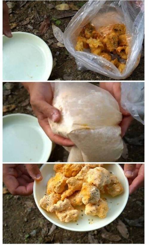 매우 독특한 컨셉의 요리 유튜버