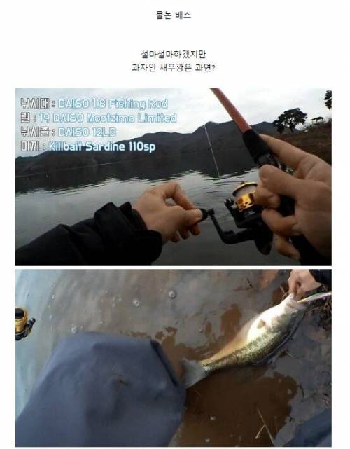 매우 독특한 컨셉의 요리 유튜버