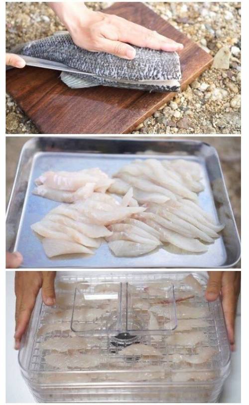 매우 독특한 컨셉의 요리 유튜버