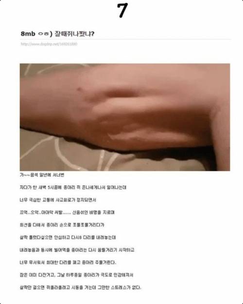 개드립 상남자 레전드