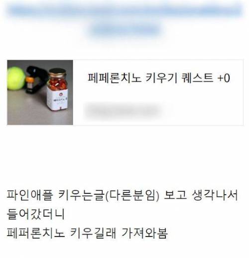 미쳐버린 드루이드와 그의 블로그 이웃들