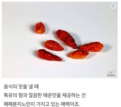 미쳐버린 드루이드와 그의 블로그 이웃들