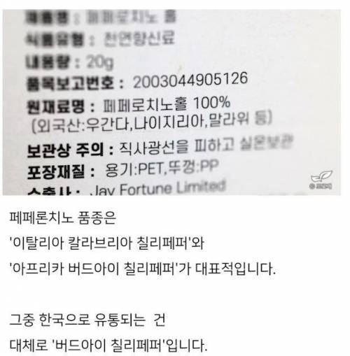 미쳐버린 드루이드와 그의 블로그 이웃들