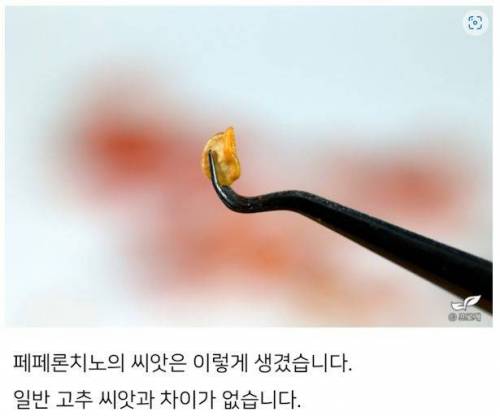 미쳐버린 드루이드와 그의 블로그 이웃들