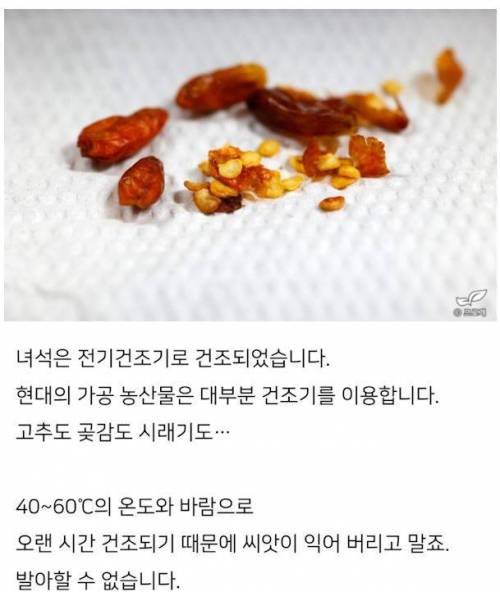 미쳐버린 드루이드와 그의 블로그 이웃들