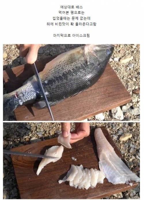 매우 독특한 컨셉의 요리 유튜버