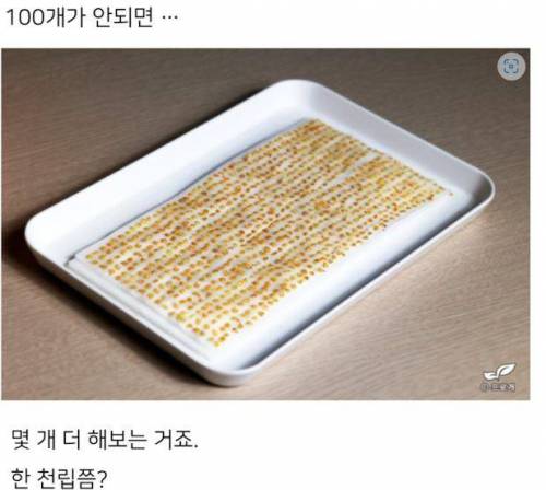 미쳐버린 드루이드와 그의 블로그 이웃들