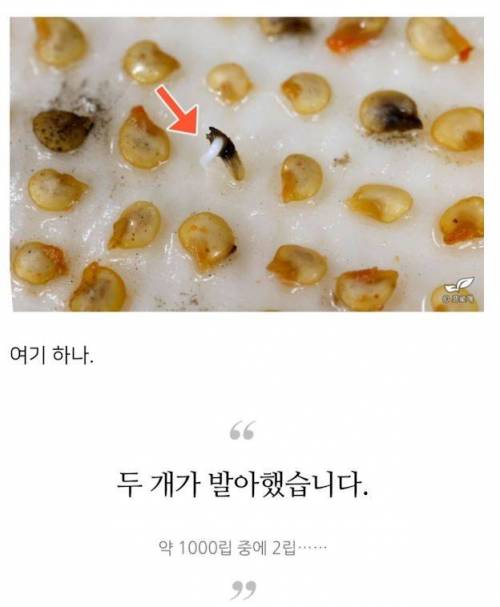 미쳐버린 드루이드와 그의 블로그 이웃들