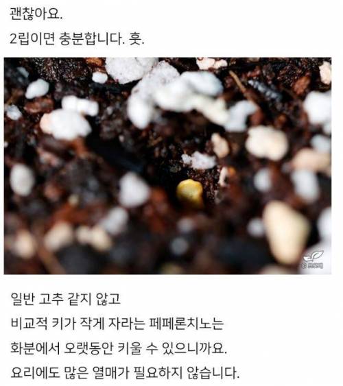 미쳐버린 드루이드와 그의 블로그 이웃들