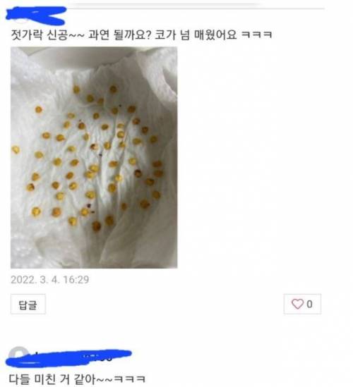 미쳐버린 드루이드와 그의 블로그 이웃들