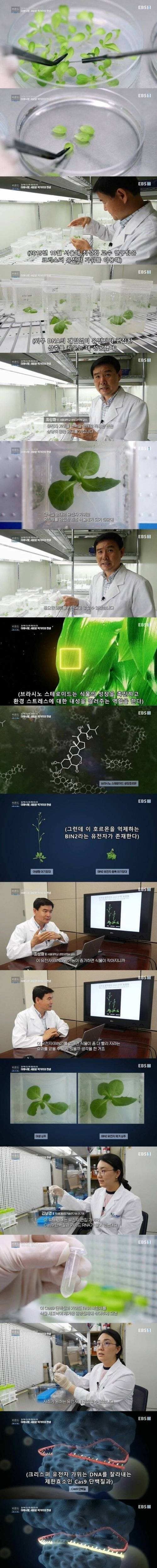 미래식량을 위한 획기적인 기술