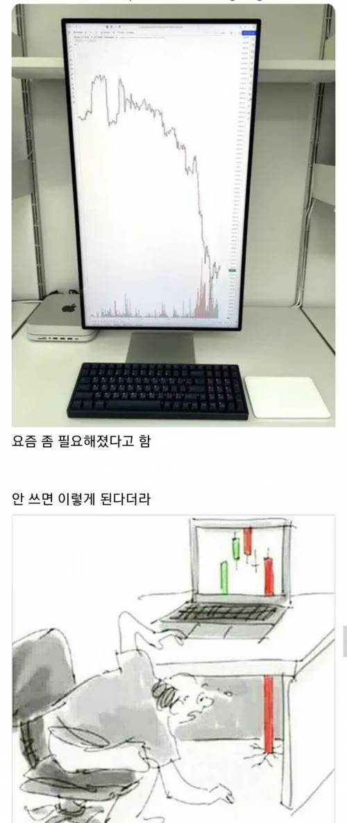 세로 모니터가 대체 왜 필요함?