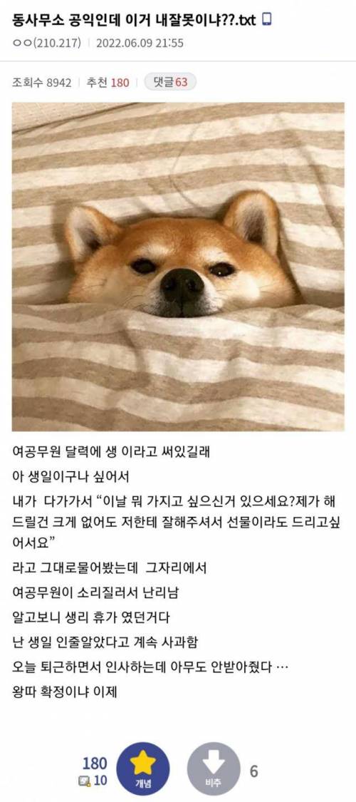 사고친 동사무소 공익