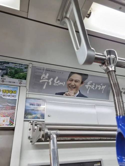 요즘 차 없는 부산러들의 일상.jpg