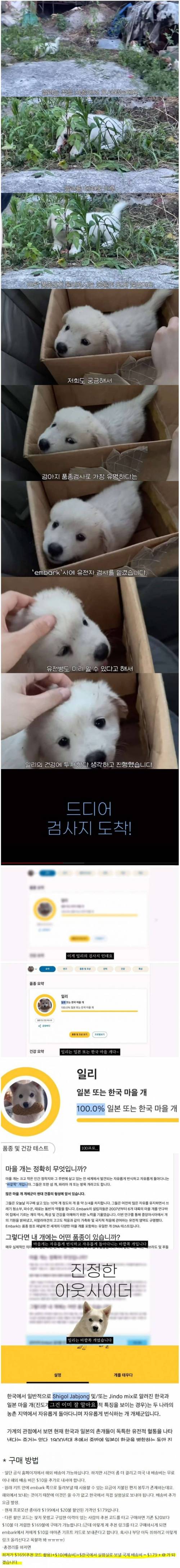 20만원 넘게 주고 시고르 자브종 유전 검사