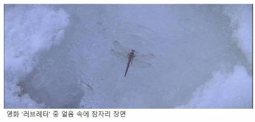 영화 러브레터 PPL