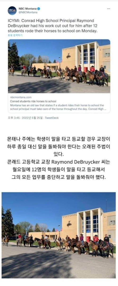 미국 초딩들이 교장 엿먹일 때 사용하는 오래된 법.law