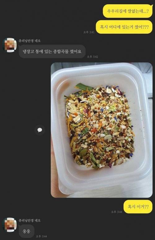 후배가 햄스터 사료로 죽 끓여줌