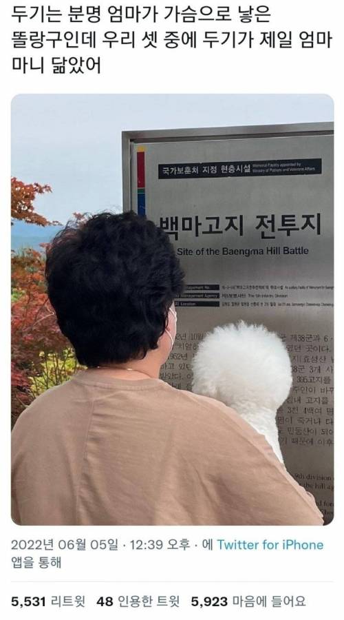 엄마랑 똑닮은 울집 강아지