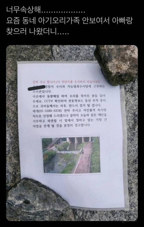 난리난 오리가족 돌팔매 학살 사건