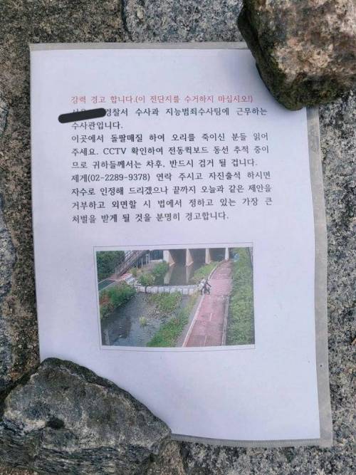 난리난 오리가족 돌팔매 학살 사건