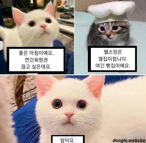 연간회원권 끊고 싶습니다