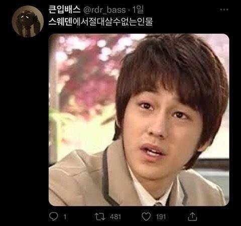 스웨덴에서 절대 살수 없는 인물. jpg