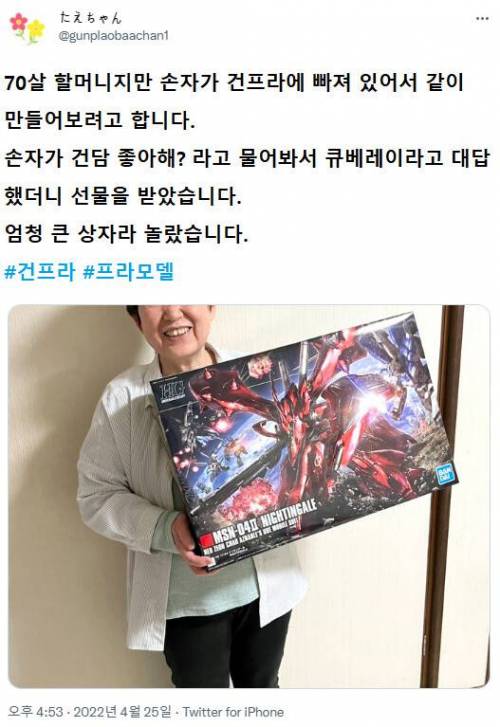 손자 선물로 건프라 입문한 일본 70세 할머니