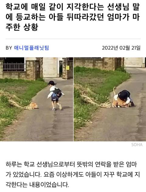 학교에 매일 같이 지각한다는 선생님 말에 등교하는 아들 뒤따라갔던 엄마가 마주한 상황