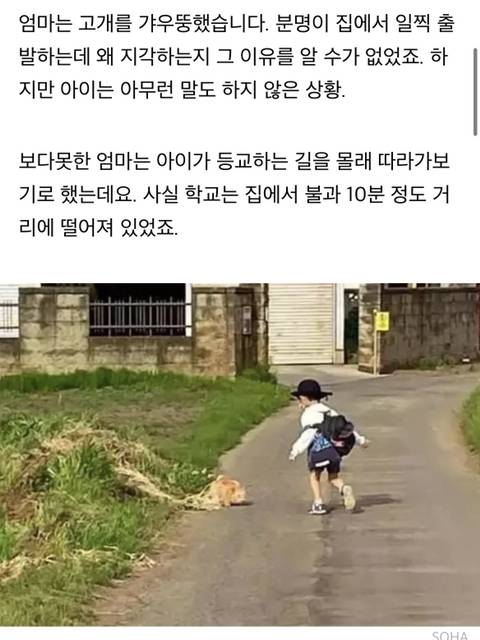 학교에 매일 같이 지각한다는 선생님 말에 등교하는 아들 뒤따라갔던 엄마가 마주한 상황