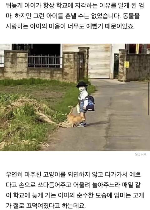 학교에 매일 같이 지각한다는 선생님 말에 등교하는 아들 뒤따라갔던 엄마가 마주한 상황