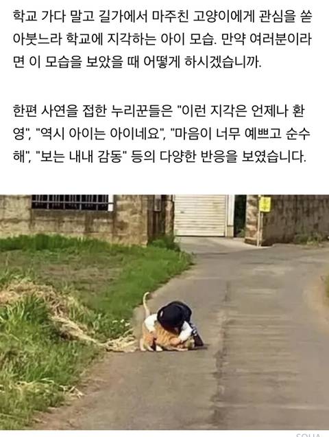 학교에 매일 같이 지각한다는 선생님 말에 등교하는 아들 뒤따라갔던 엄마가 마주한 상황