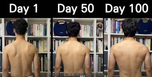 팔굽혀피기 100개씩 100일간 한 결과