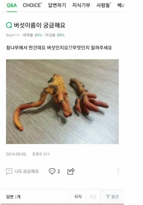 				알고보면 무서운 사진.