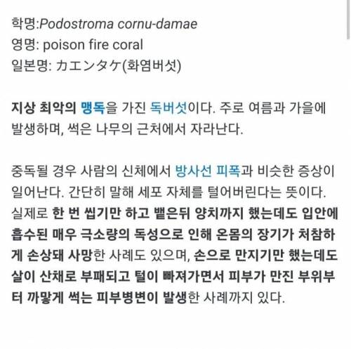 				알고보면 무서운 사진.