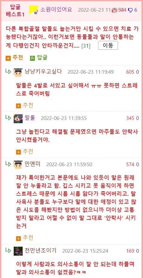 복합골절을 당한 말은 보통 안락사를 시킨다.jpg