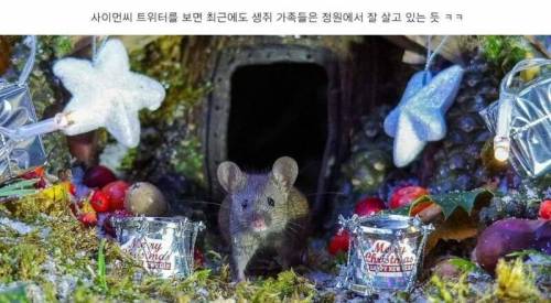 정원에서 쥐를 발견한 남자가 취한 행동 ,,,