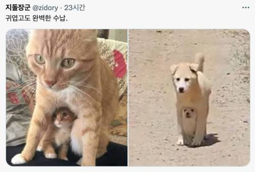 귀엽고도 완벽한 수납.