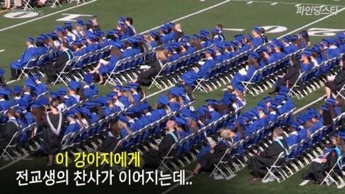 미국 한 고등학교 졸업앨범에 실린 댕댕이