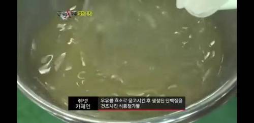 가짜 치즈 만드는 방법.jpg