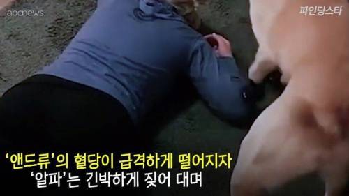 미국 한 고등학교 졸업앨범에 실린 댕댕이