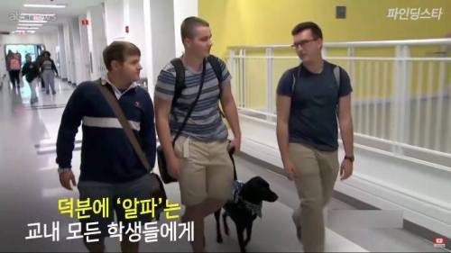 미국 한 고등학교 졸업앨범에 실린 댕댕이